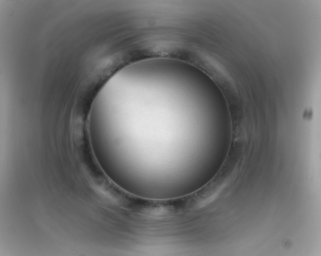 X0000095120646200712071241