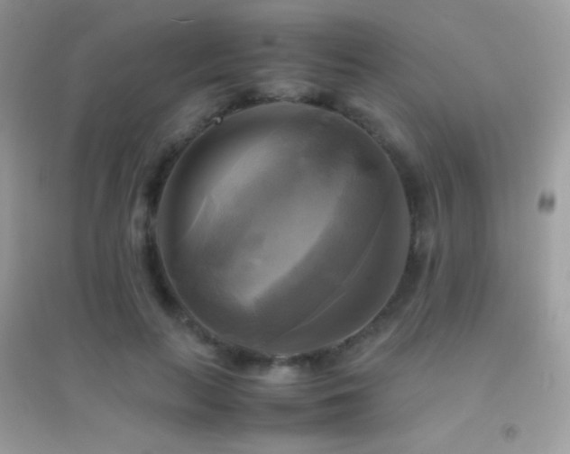 X0000095120647200712071241
