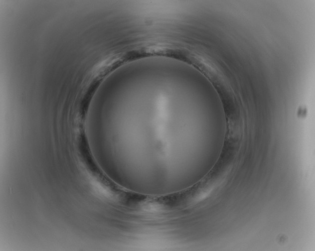 X0000095120648200712071241