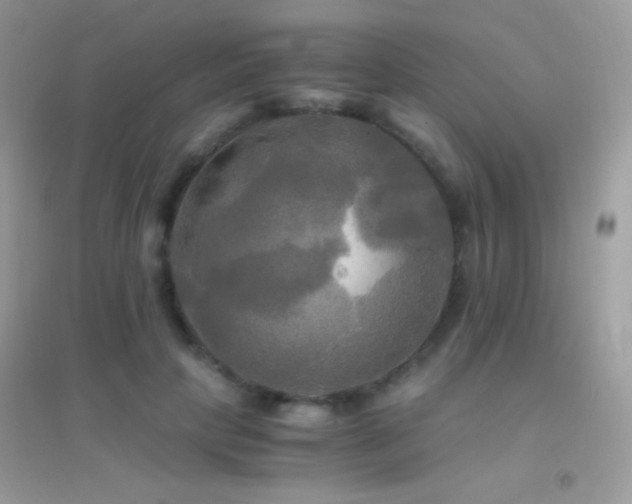 X0000095120649200712071241