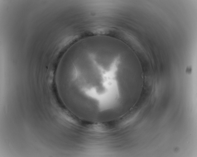 X0000095120652200712071241