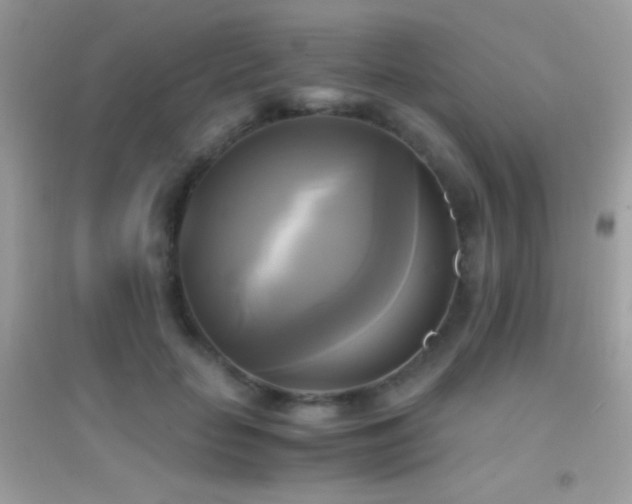 X0000095120653200712071241