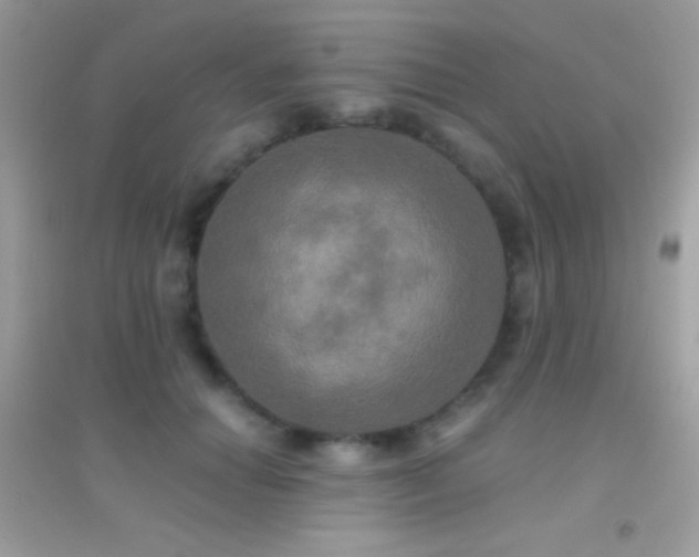 X0000095120654200712071241