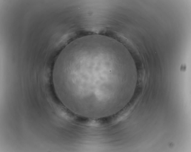 X0000095120656200712071241