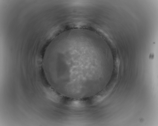 X0000095120657200712071241