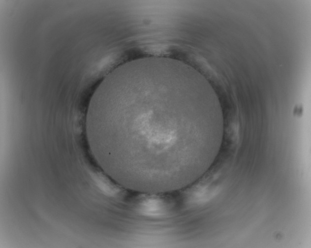 X0000095120658200712071241