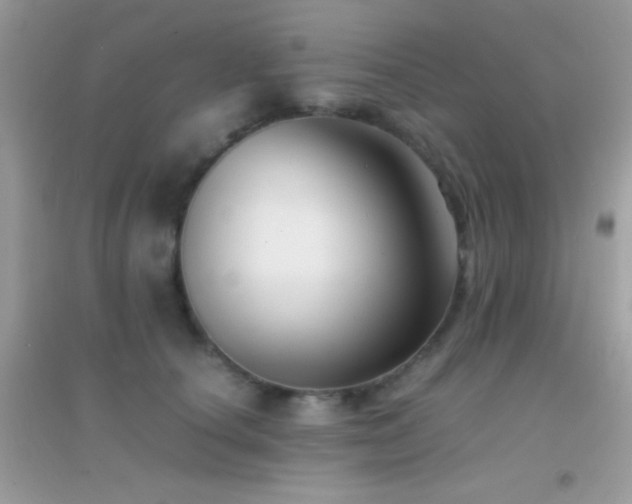 X0000095120660200712071241