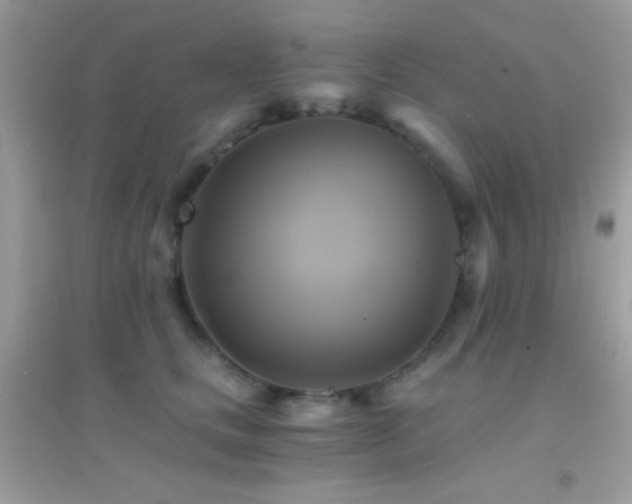 X0000095120661200712071241