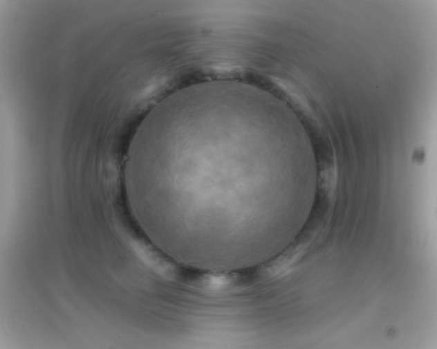 X0000095120662200712071241