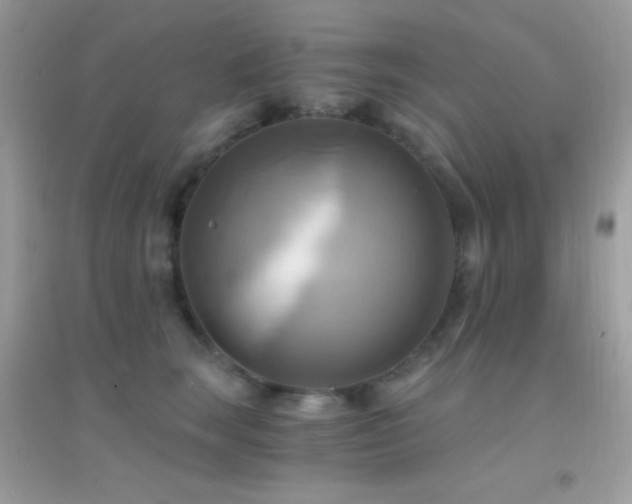 X0000095120663200712071241
