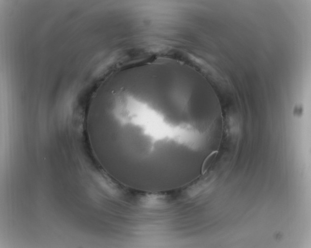 X0000095120664200712071241