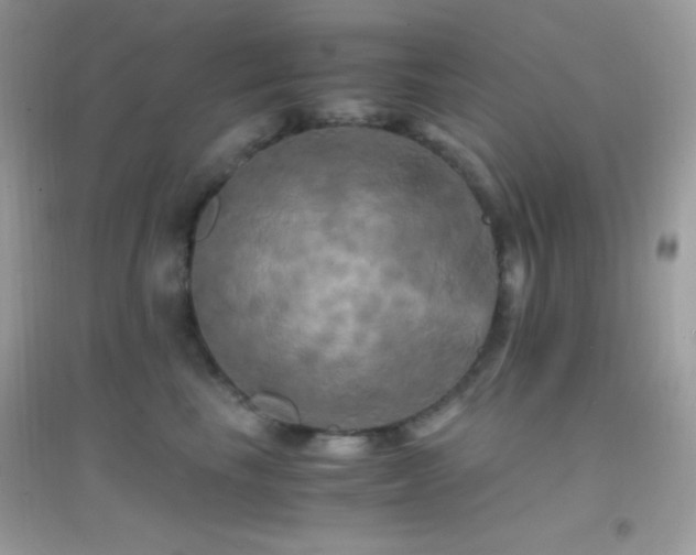 X0000095120665200712071241