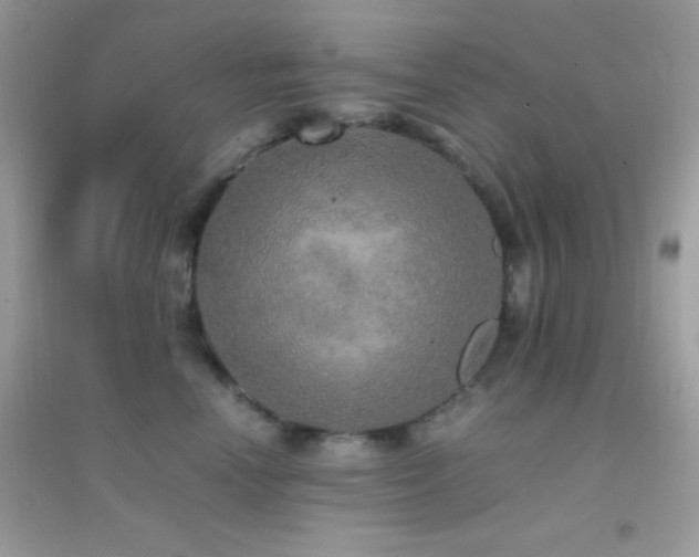 X0000095120666200712071241