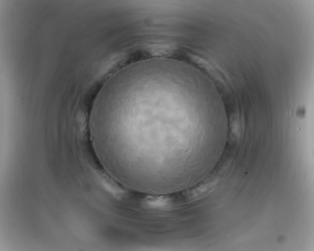 X0000095120667200712071241