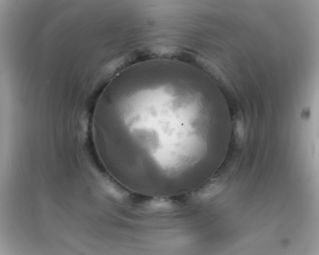 X0000095120668200712071241