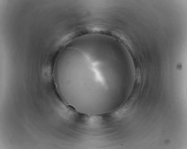 X0000095120670200712071241