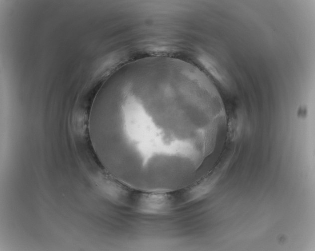 X0000095120671200712071241