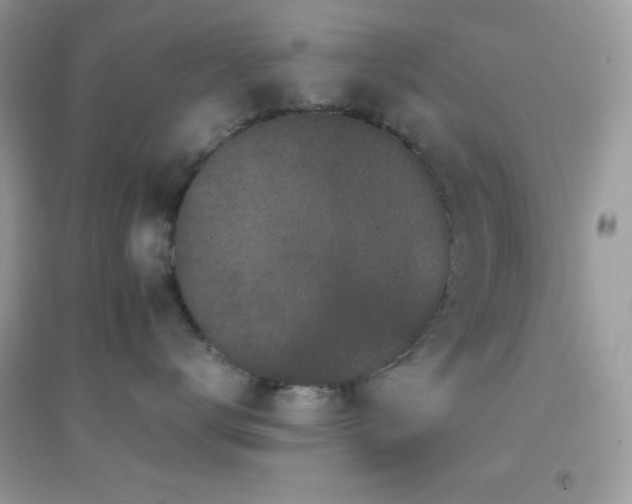 X0000095120672200712071241