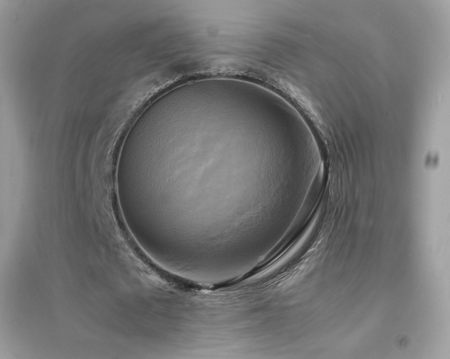 X0000095120673200712071240