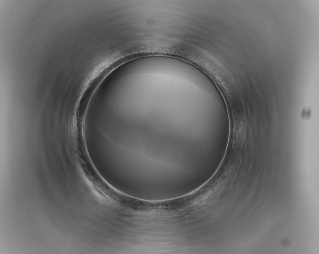 X0000095120674200712071240