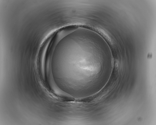 X0000095120676200712071240