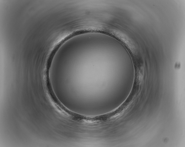 X0000095120677200712071240