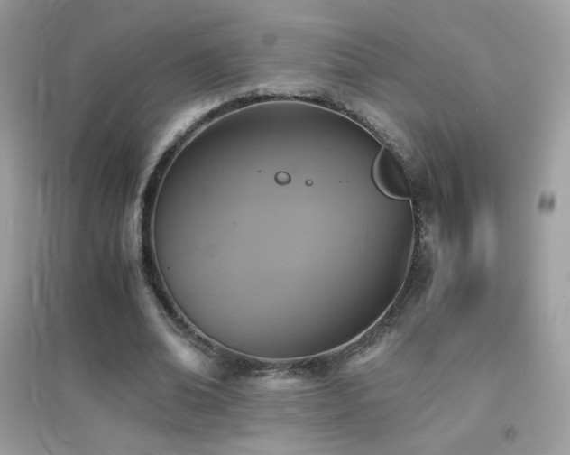 X0000095120678200712071240