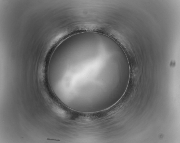 X0000095120679200712071240