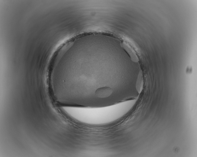 X0000095120680200712071240