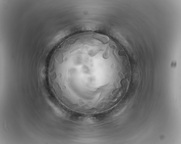 X0000095120683200712071240
