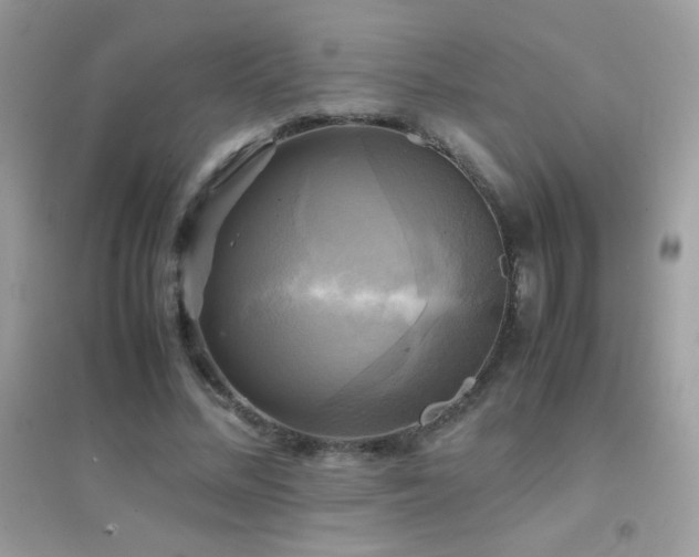 X0000095120684200712071240