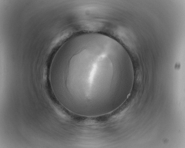 X0000095120685200712071240