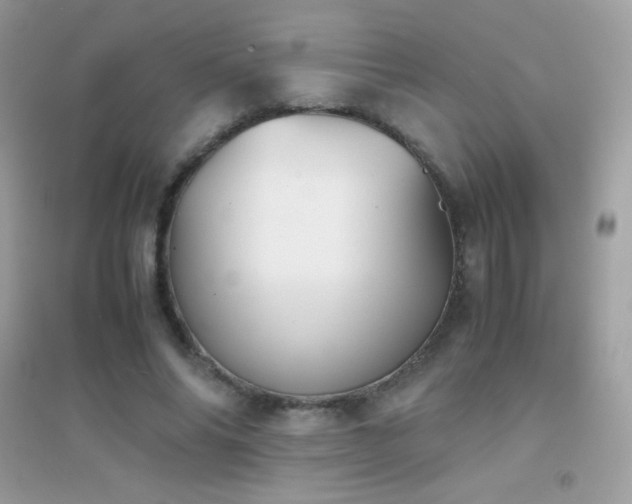 X0000095120686200712071240