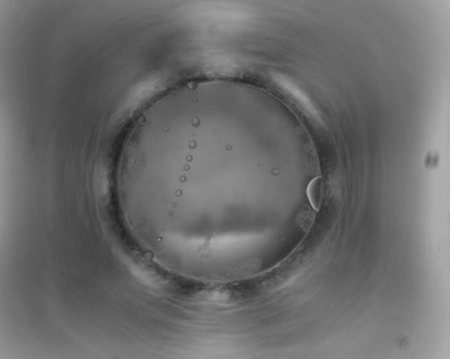 X0000095120687200712071240