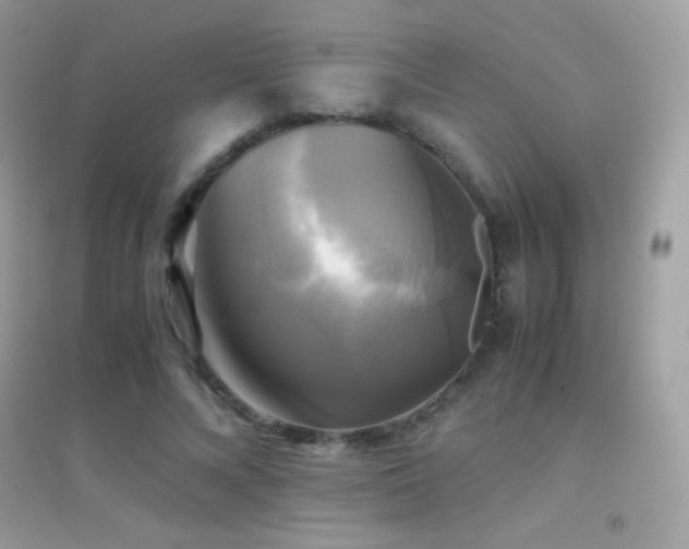 X0000095120688200712071240