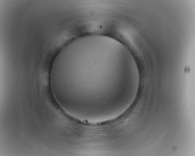 X0000095120689200712071240