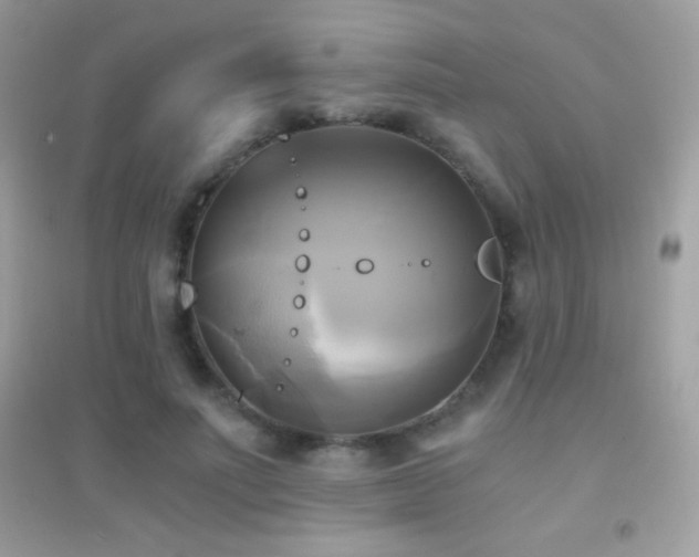 X0000095120691200712071240