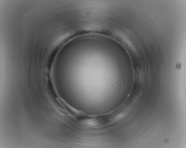 X0000095120692200712071240