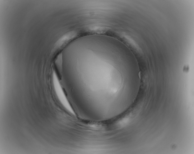 X0000095120693200712071240