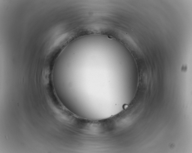X0000095120694200712071240