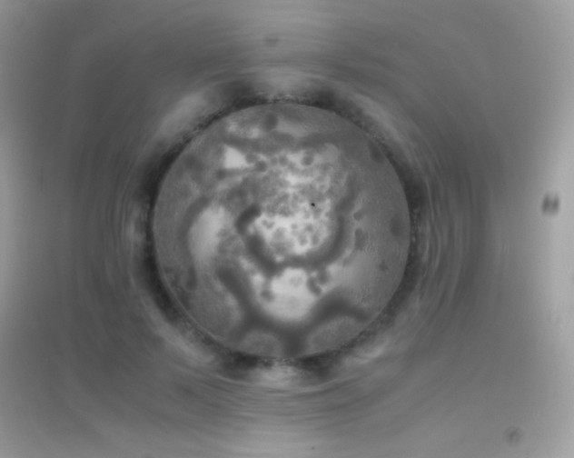 X0000095120695200712071240
