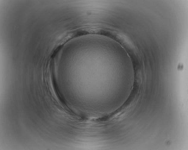 X0000095120697200712071240