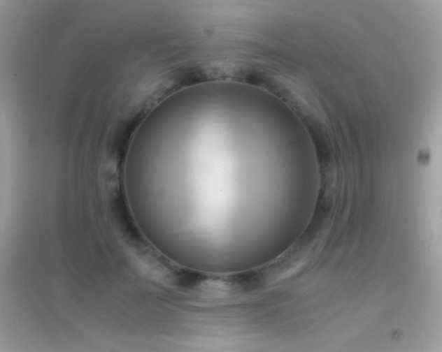 X0000095120699200712071240