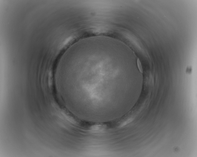 X0000095120700200712071240