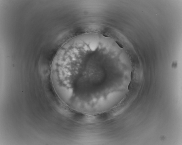 X0000095120701200712071240