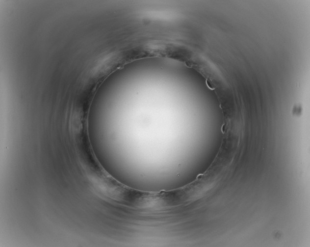 X0000095120702200712071240