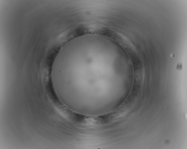 X0000095120703200712071240