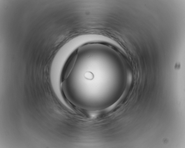 X0000095120704200712071240