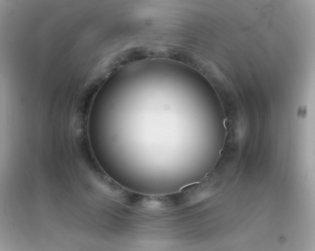X0000095120706200712071240