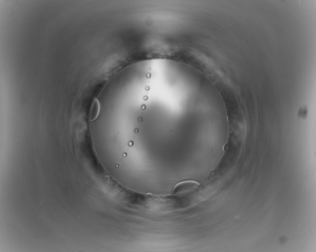 X0000095120707200712071240